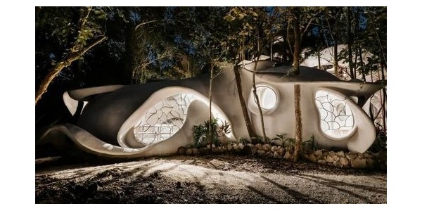 昆蟲(chóng)翼 | Fab Lab創(chuàng)客空間