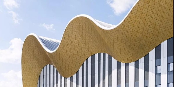 所有圖紙合成一個(gè)“超模型”，莫斯科藝術(shù)體操中心設(shè)計(jì)BIM解析