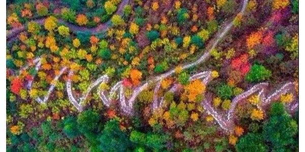 鄉(xiāng)村振興需避免這15個雷區(qū)！