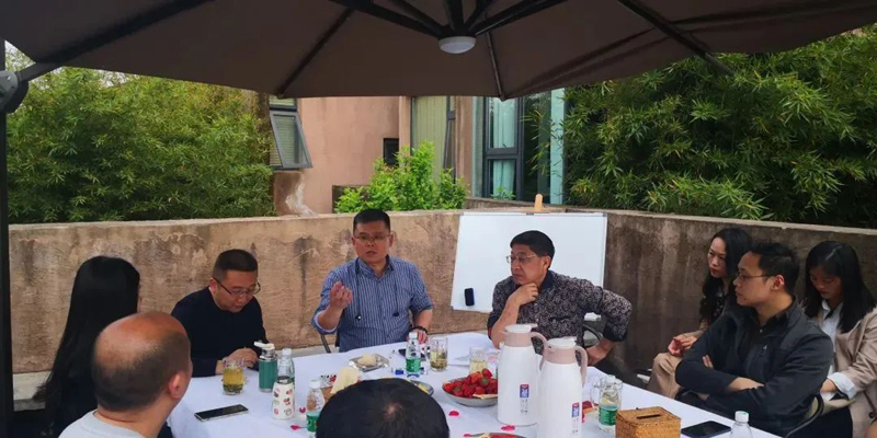 鄉(xiāng)村振興—青白江篇“杏花山上”項(xiàng)目策劃、規(guī)劃的專題會(huì)議