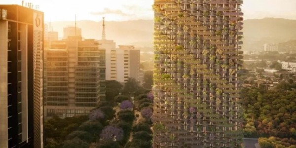 這才叫綠色建筑！用木頭代替鋼筋水泥，30000多植物栽在陽(yáng)臺(tái)！